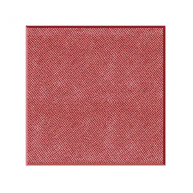 Gạch vuông 20 x 20 x 6 nhám lưới