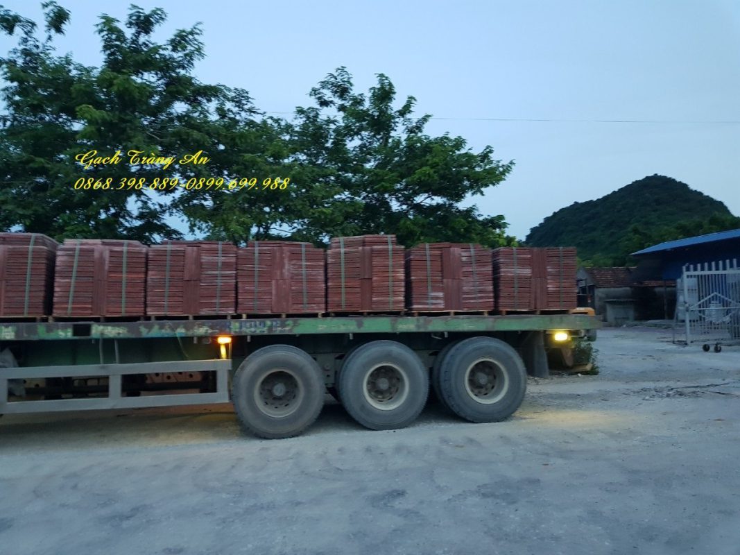 CÔNG TY TNHH AN CHI PHƯƠNG