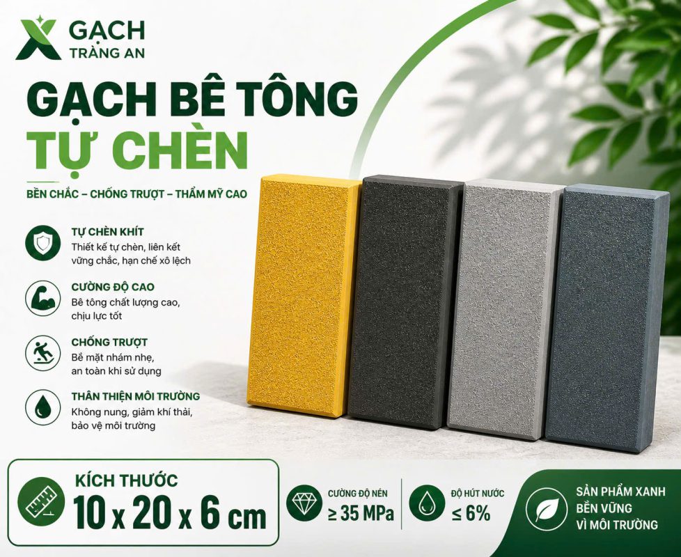 CÔNG TY TNHH AN CHI PHƯƠNG
