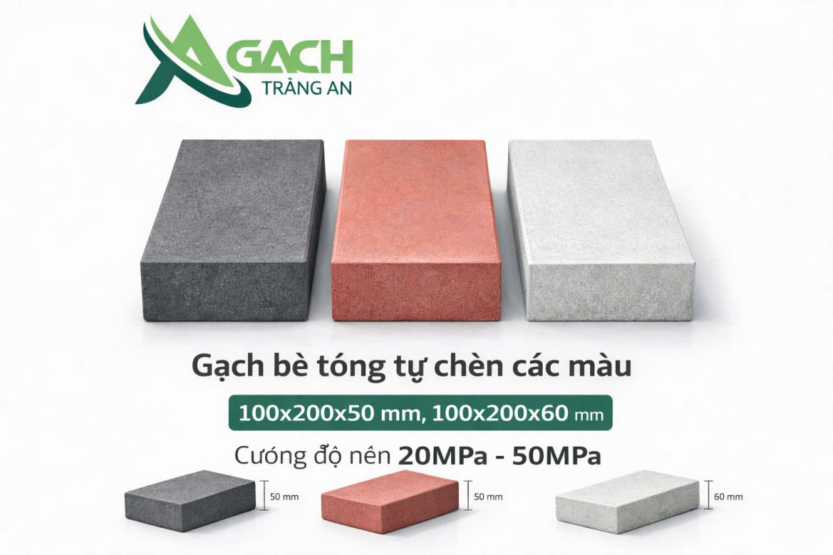 CÔNG TY TNHH AN CHI PHƯƠNG