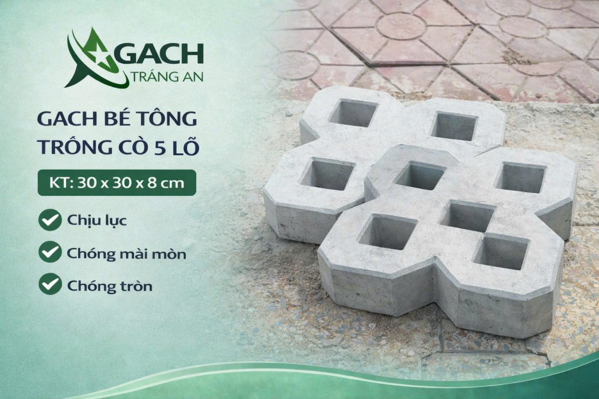 CÔNG TY TNHH AN CHI PHƯƠNG