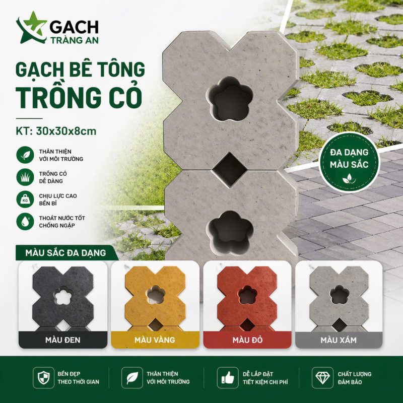 CÔNG TY TNHH AN CHI PHƯƠNG