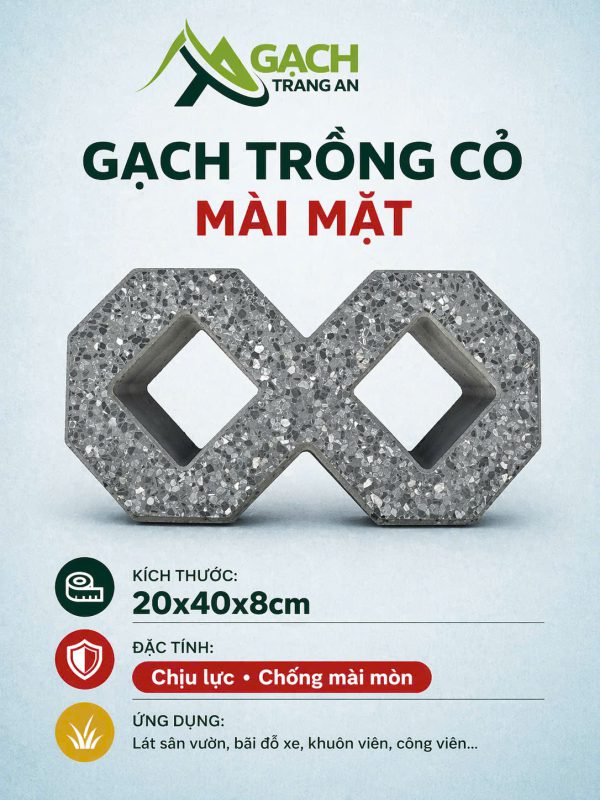 CÔNG TY TNHH AN CHI PHƯƠNG