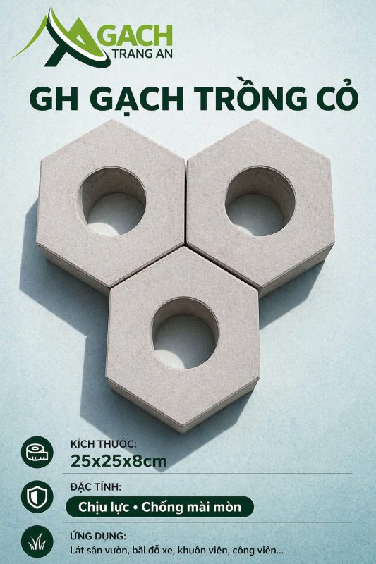 CÔNG TY TNHH AN CHI PHƯƠNG