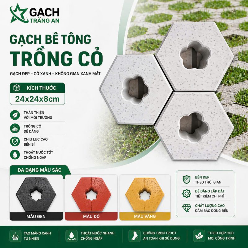 CÔNG TY TNHH AN CHI PHƯƠNG