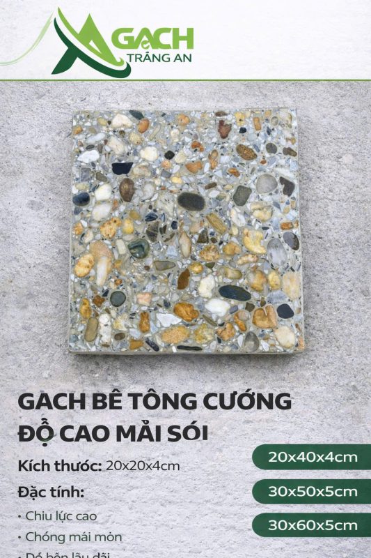 CÔNG TY TNHH AN CHI PHƯƠNG