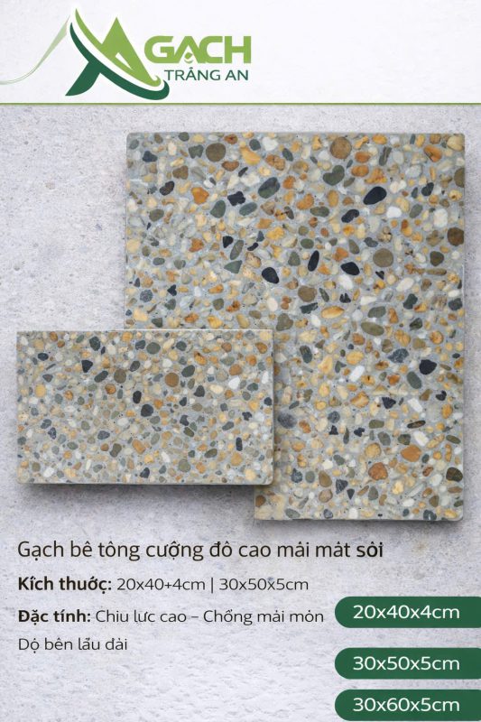 CÔNG TY TNHH AN CHI PHƯƠNG