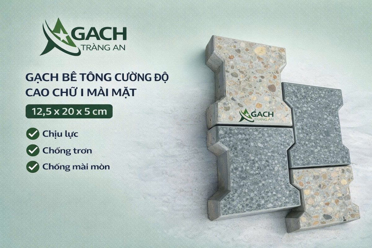 CÔNG TY TNHH AN CHI PHƯƠNG