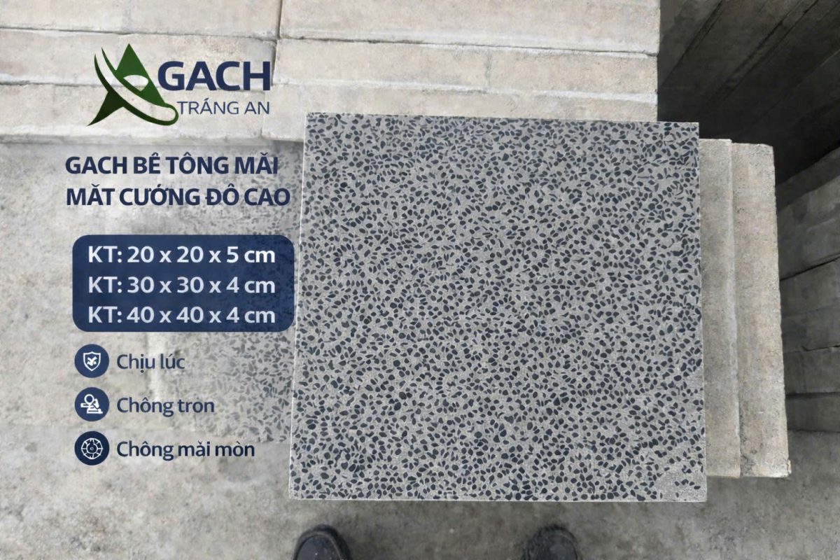 CÔNG TY TNHH AN CHI PHƯƠNG