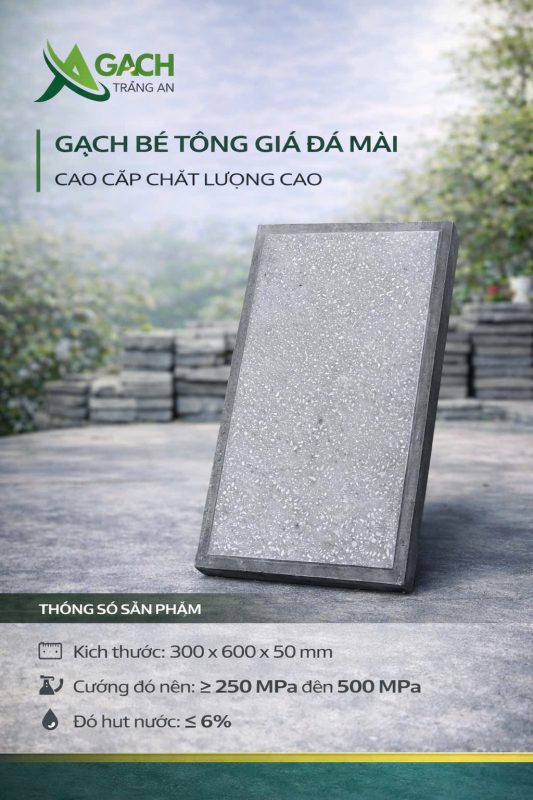 CÔNG TY TNHH AN CHI PHƯƠNG
