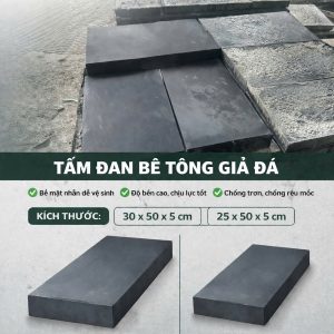 TẤM ĐAN GIẢ ĐÁ