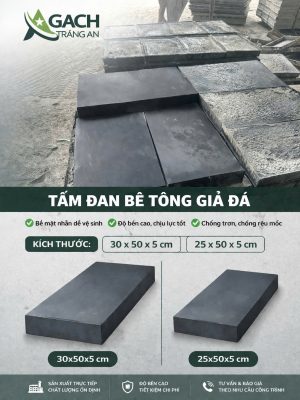 TẤM ĐAN GIẢ ĐÁ