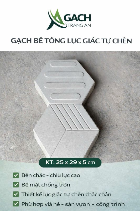 CÔNG TY TNHH AN CHI PHƯƠNG