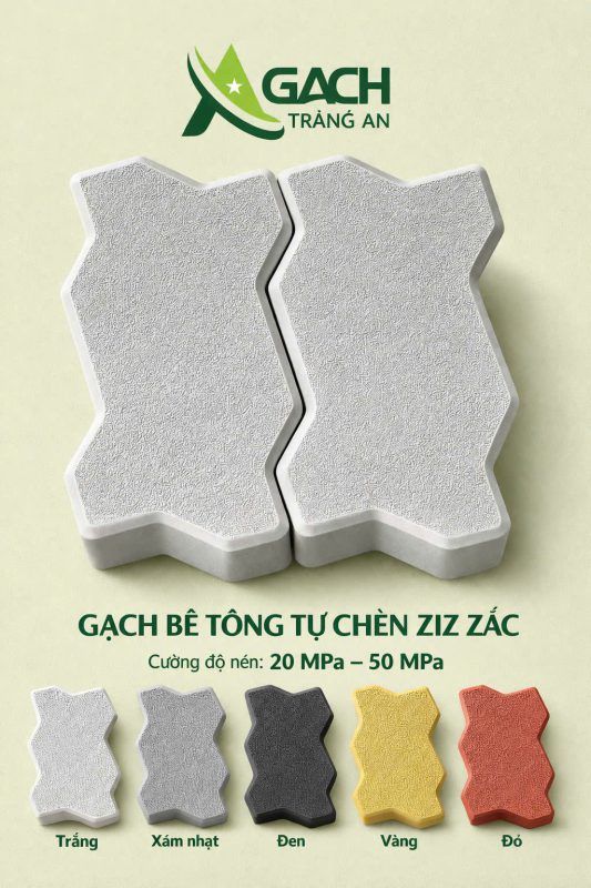CÔNG TY TNHH AN CHI PHƯƠNG