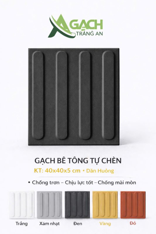 CÔNG TY TNHH AN CHI PHƯƠNG