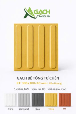 GẠCH DẪN HƯỚNG