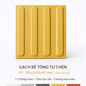 GẠCH DẪN HƯỚNG