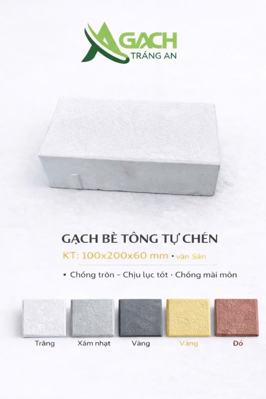 CÔNG TY TNHH AN CHI PHƯƠNG