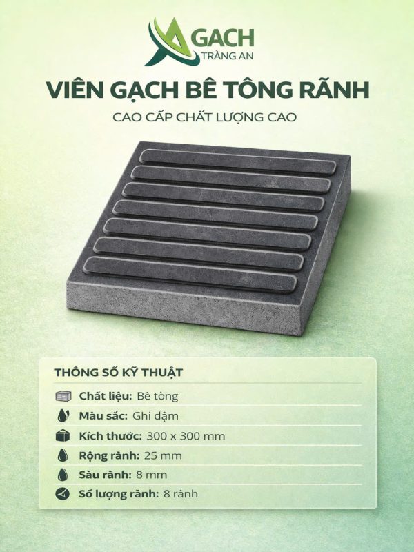 CÔNG TY TNHH AN CHI PHƯƠNG