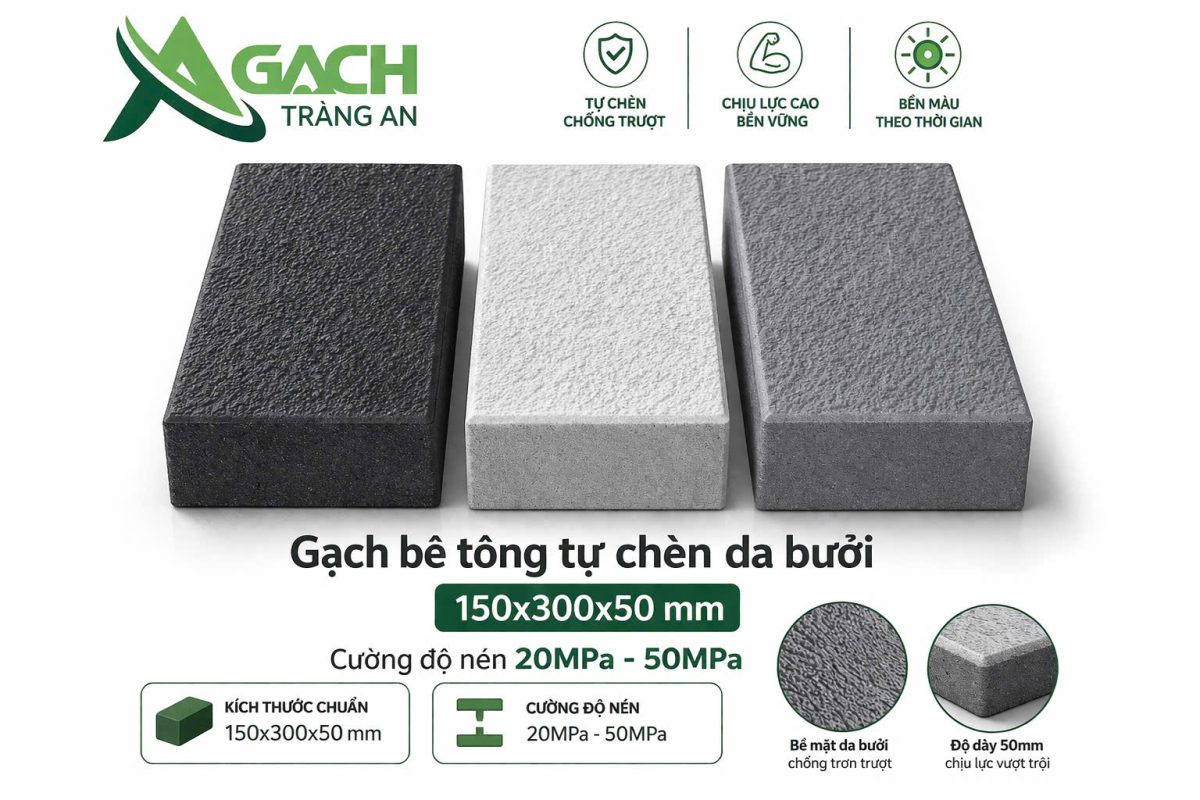 CÔNG TY TNHH AN CHI PHƯƠNG