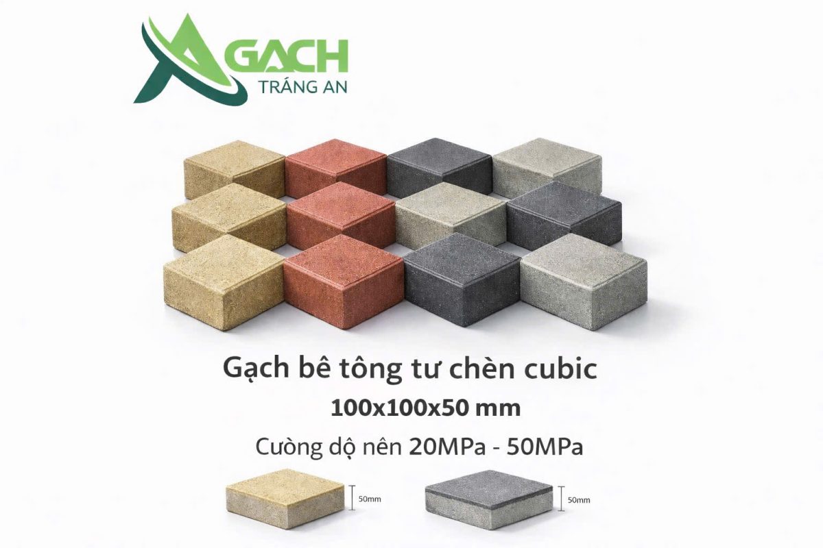 CÔNG TY TNHH AN CHI PHƯƠNG