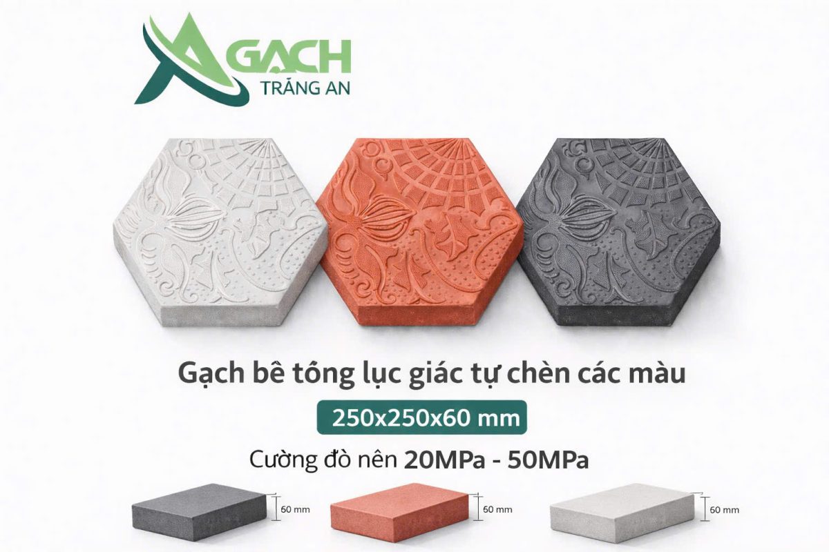 CÔNG TY TNHH AN CHI PHƯƠNG