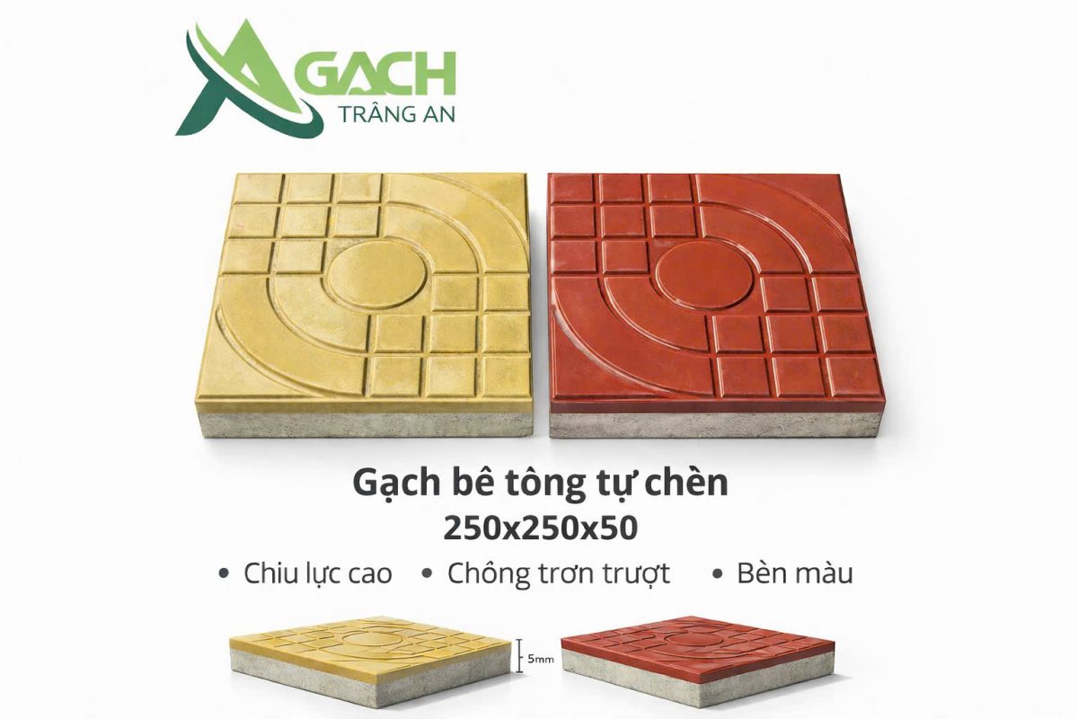 CÔNG TY TNHH AN CHI PHƯƠNG