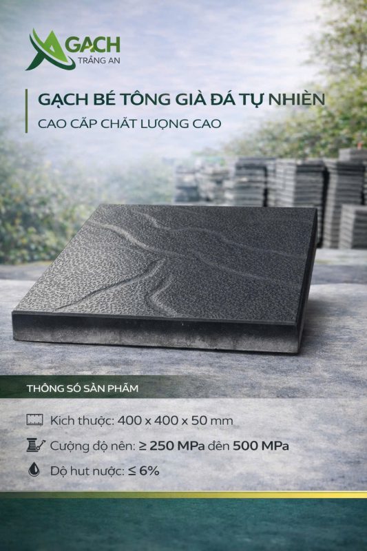 CÔNG TY TNHH AN CHI PHƯƠNG