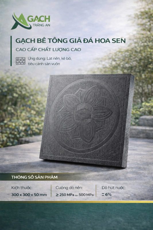 CÔNG TY TNHH AN CHI PHƯƠNG