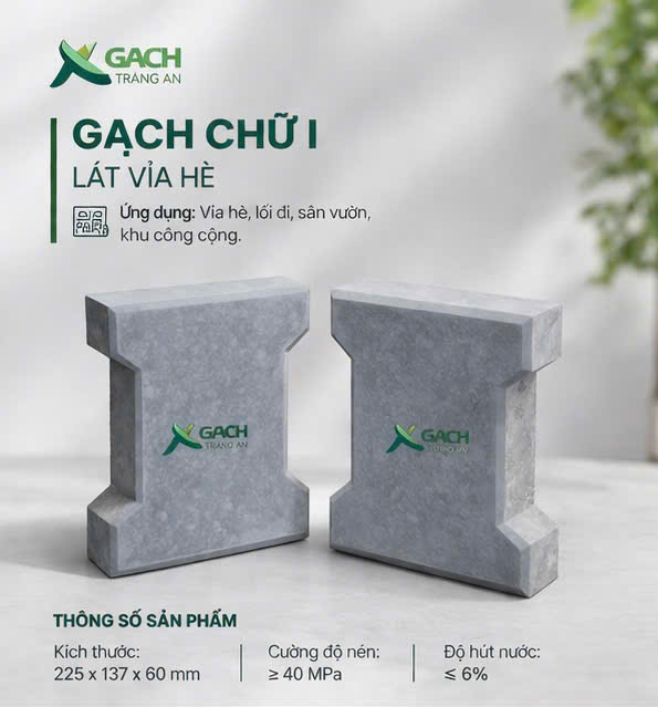 CÔNG TY TNHH AN CHI PHƯƠNG