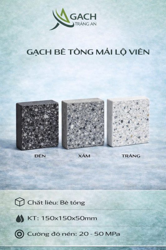 CÔNG TY TNHH AN CHI PHƯƠNG
