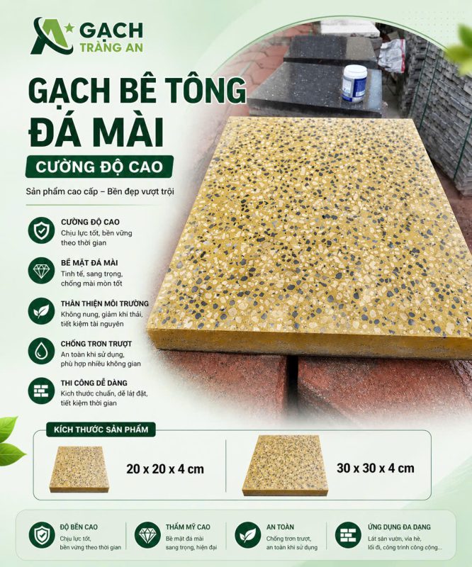 CÔNG TY TNHH AN CHI PHƯƠNG