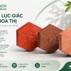 GẠCH LỤC GIÁC HOA THỊ