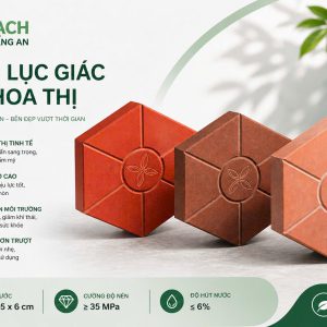 GẠCH LỤC GIÁC HOA THỊ